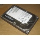 Жесткий диск HP 500G 7.2k 3G HP 616281-001 / 613208-001 SATA (Сочи)