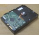 Жесткий диск HP 250Gb 7200 rpm 432337-001/ 399699-001 / 397377-004 (Сочи)