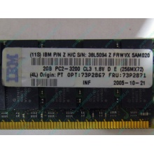IBM 73P2871 73P2867 2Gb (2048Mb) DDR2 ECC Reg memory (Сочи)