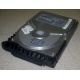 Жесткий диск 18.4Gb Quantum Atlas 10K III U160 SCSI (Сочи)