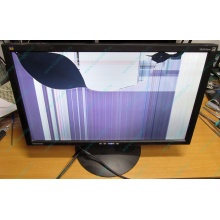 ViewSonic VA2413WM-2 разбитая матрица (Сочи)