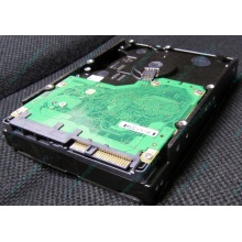 Жесткий диск 600Gb 15k Dell 9FN066-008 6G SAS ( Seagate Cheetach ST3600057SS 15K.7) - Сочи