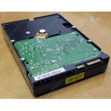 Б/У жёсткий диск 400Gb WD WD4000YR Caviar RE2 7200 rpm SATA  (Сочи)