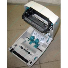 Термопринтер Zebra TLP 2844 (без БП!) - Сочи