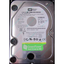 Б/У жёсткий диск 500Gb Western Digital WD5000AVVS (WD AV-GP 500 GB) 5400 rpm SATA (Сочи)