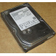 HDD 500Gb Hitachi HDS721050DLE630 донор на запчасти (Сочи)