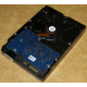 Электроника HDD 500Gb Hitachi HDS721050DLE630 (Сочи)