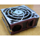 HP 224977 (224978-001) for Proliant ML370 G2/G3/G4 (Сочи).