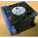 Вентилятор TFB0612GHE для корпусов Intel SR2300 / SR2400 (Сочи)