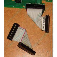 6017B0045701 Шлейф 24 pin для Intel C74974-401 T0043401-B01 корпуса SR2400 (Сочи)