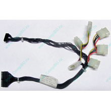 59P4789 FRU 59P4792 в Сочи, кабель IBM 59P4789 FRU 59P4792 для серверов X225 (Сочи)