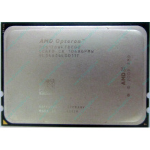 AMD Opteron 6128 OS6128WKT8EGO (Сочи)