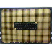 AMD Opteron 6128 OS6128WKT8EGO (Сочи)