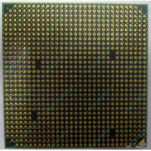 Процессор AMD Athlon 64300+ (1.8GHz) ADA3000IAA4CN s.AM2 (Сочи)