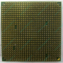 Процессор AMD Sempron 3000+ (1.6GHz) SDA3000IAA3CN s.AM2 (Сочи)